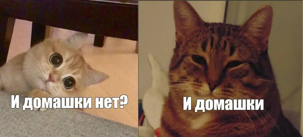 Домашних заданий у первоклассников больше не будет