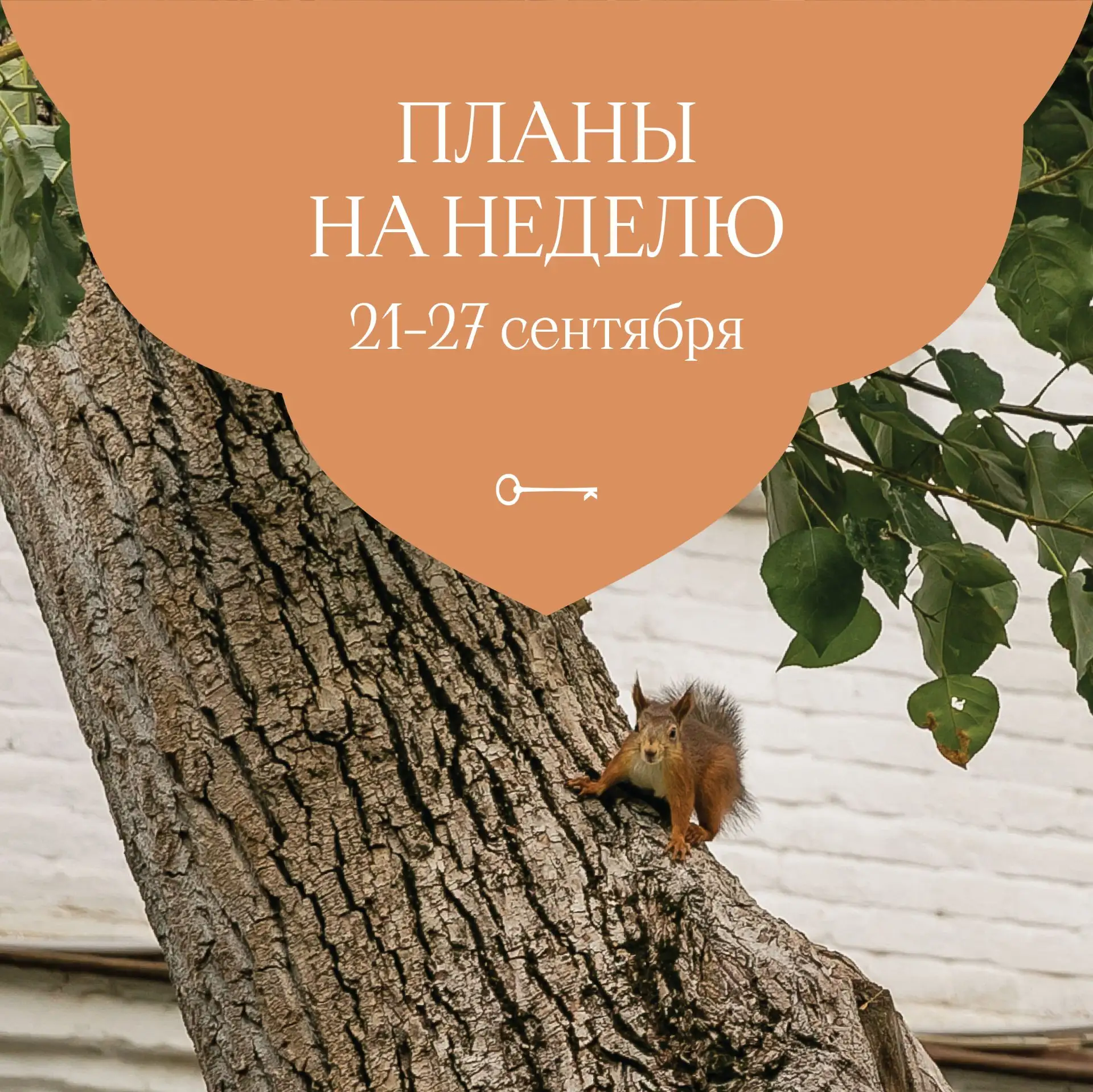Планы на неделю
