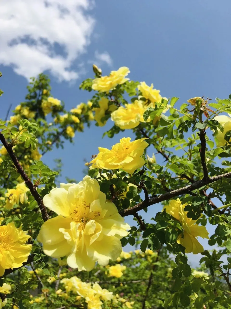 🌼Завершаем короткую рабочую неделю и заряжаемся хорошим настроением перед праздничными выходными вм