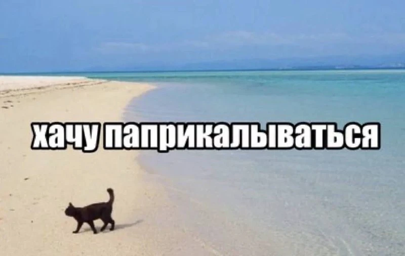 сегодня на таком вайбике