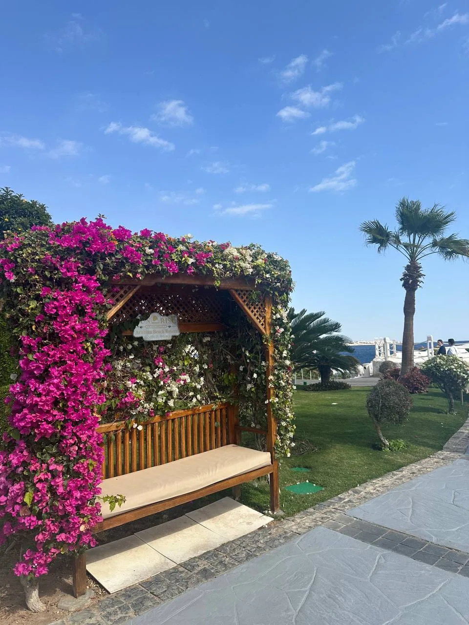 Прекрасный Sunrise Arabian Beach Resort 5* 😍