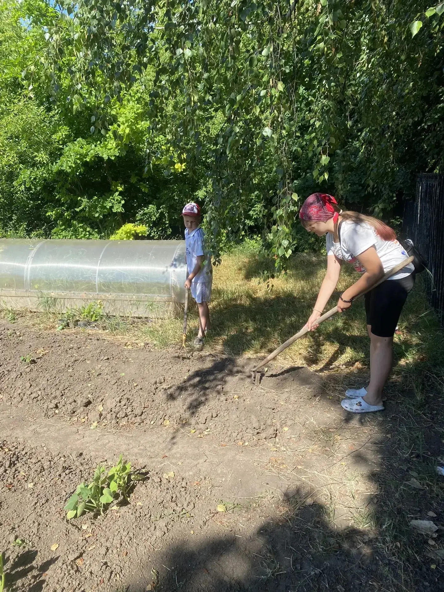 Летняя практика 🌿🌿🌿

Каждая клумба,грядка летом наполняет жизнь яркими красками, создает хорошее 