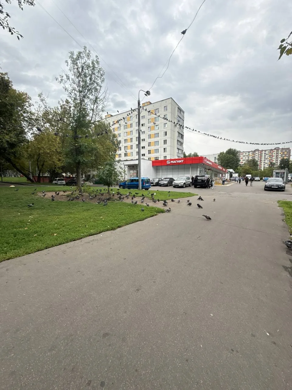 Если кто переживал, голуби на месте, активно держат оборону своей территории.
