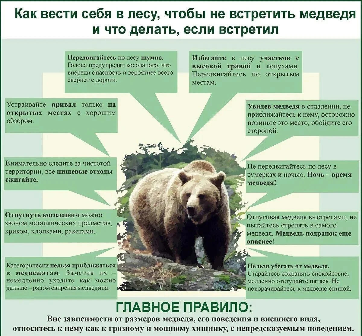 Агентство лесного и охотничьего хозяйства области напоминает об основных мерах предосто...