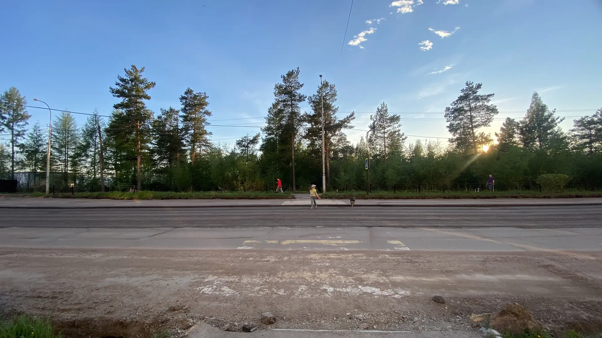 Осторожно, вырубка на подходе! 🌳⚠️