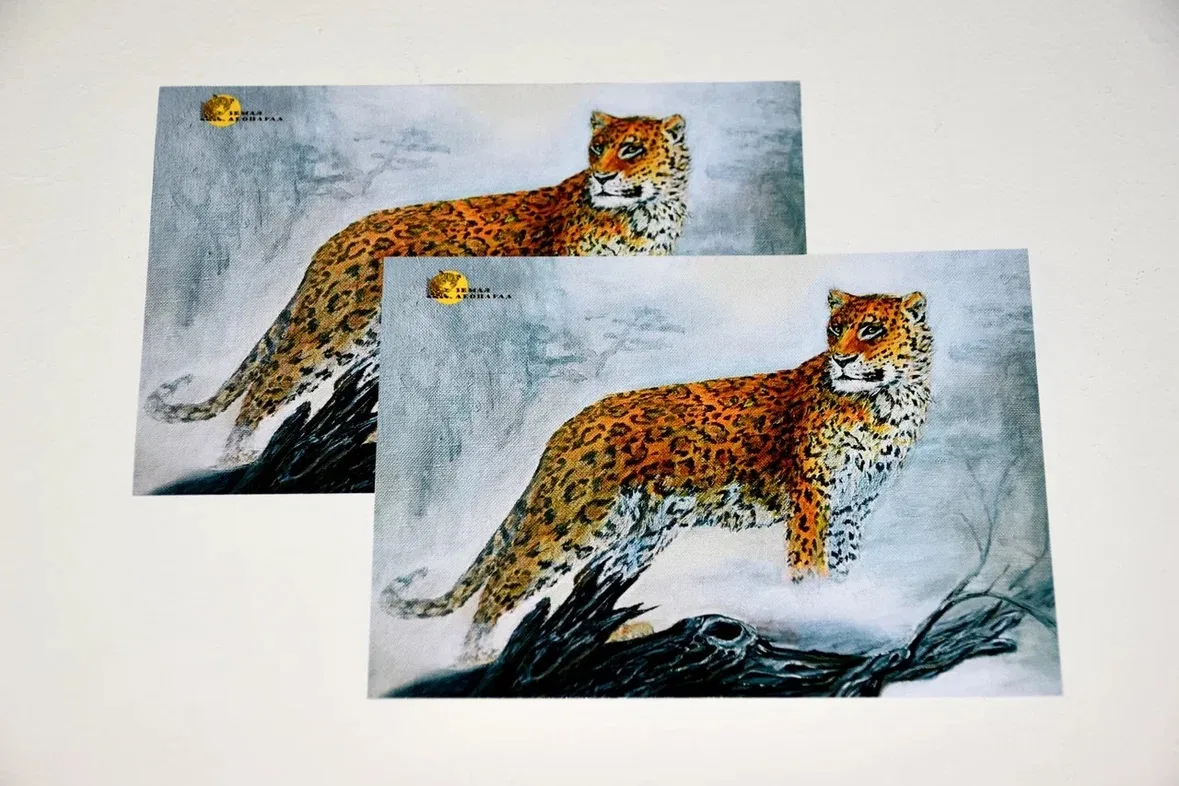 🐆🐅 Уникальные открытки и магниты с природой Приморья — уже в нашей онлайн сувенирной лавке!  Леопард