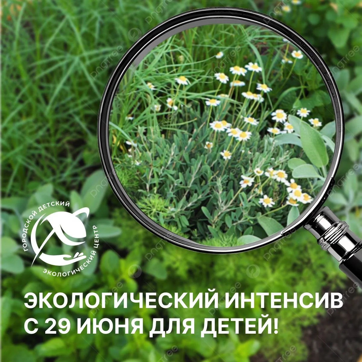 Юные исследователи, внимание!