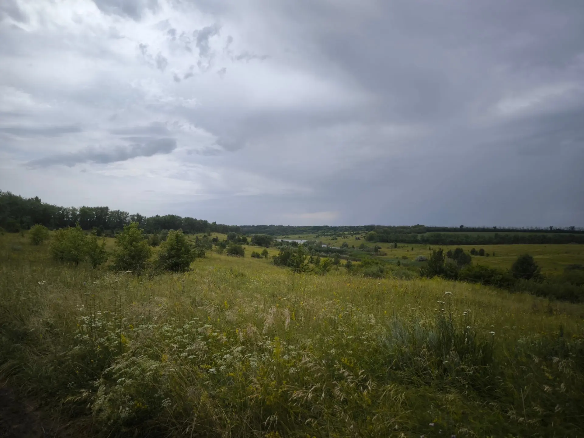 Поле🌾