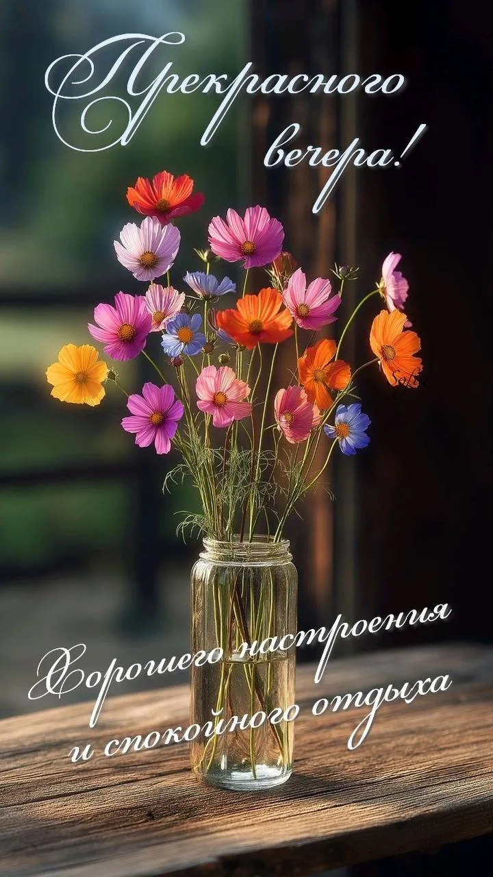 Добрый вечер! 🌙