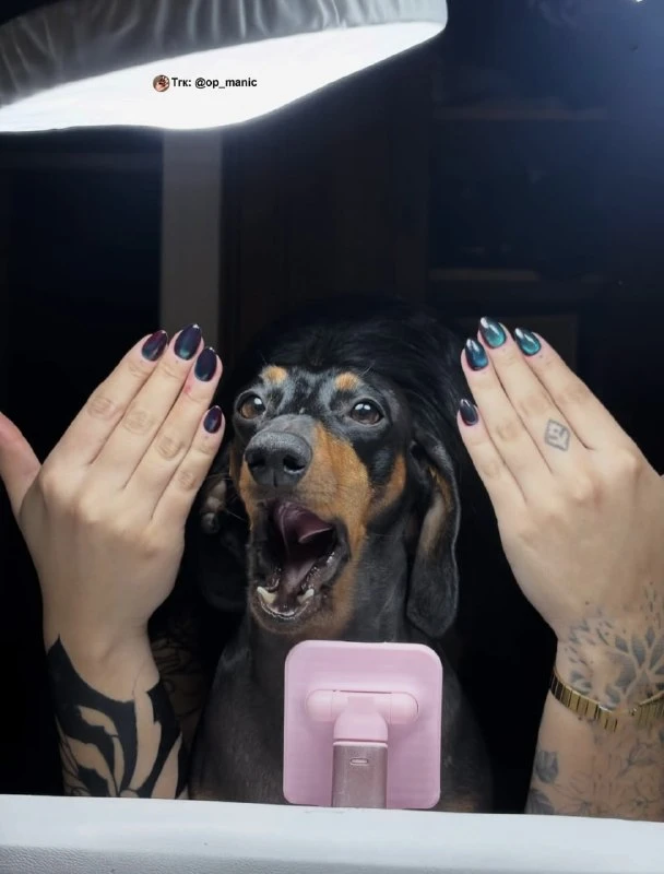 💅Маникюр | Ноготочки