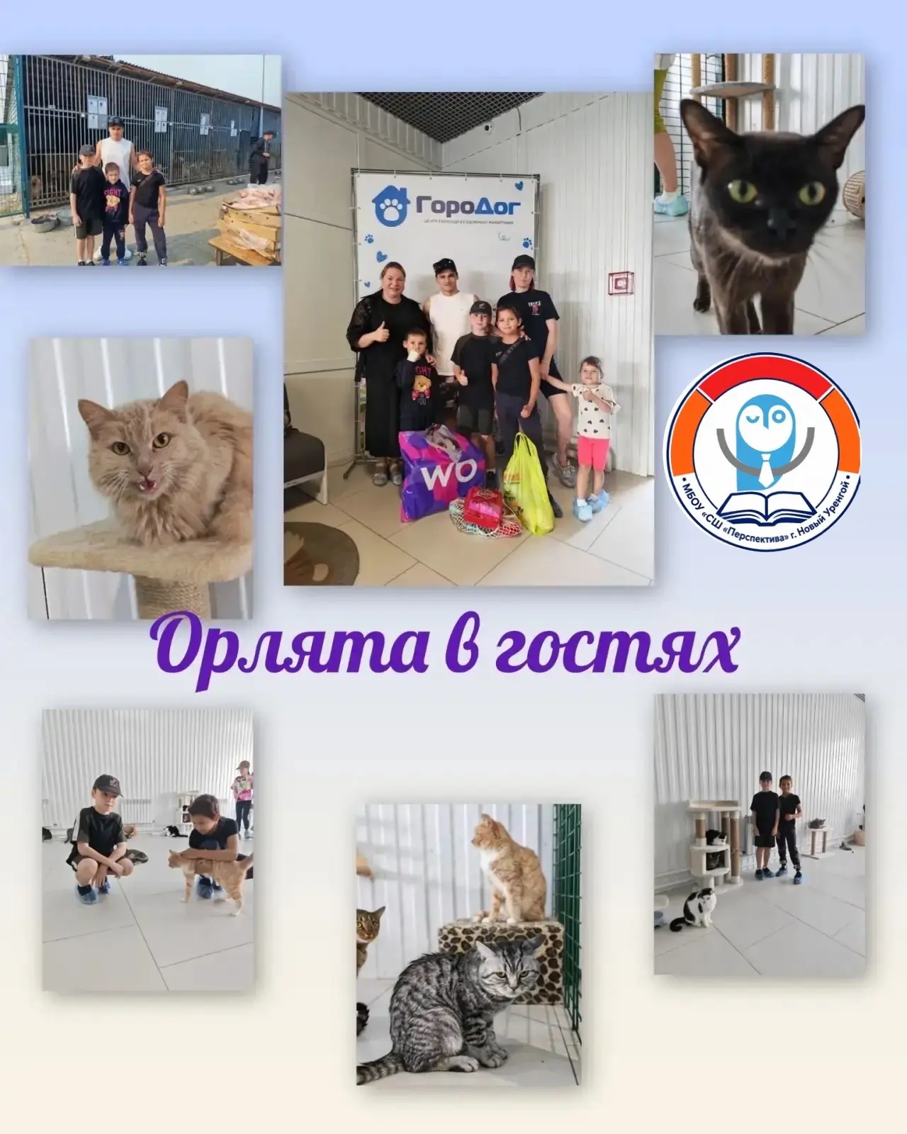 ⚡️2В класс помог «ГороДогу». День открытых дверей
