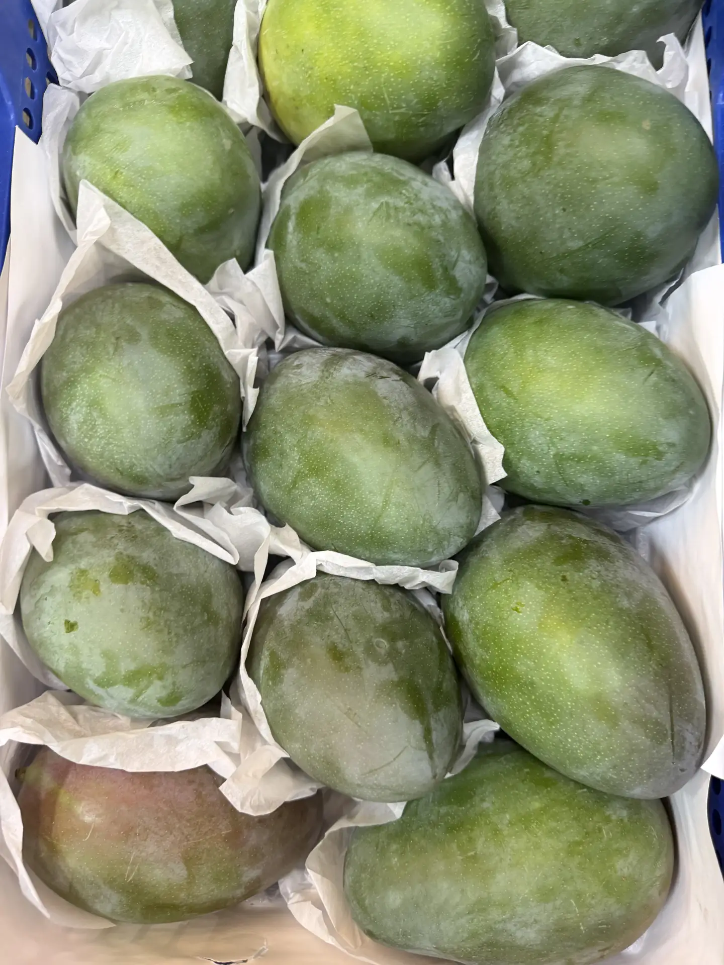 Свежее поступление манго 🥭