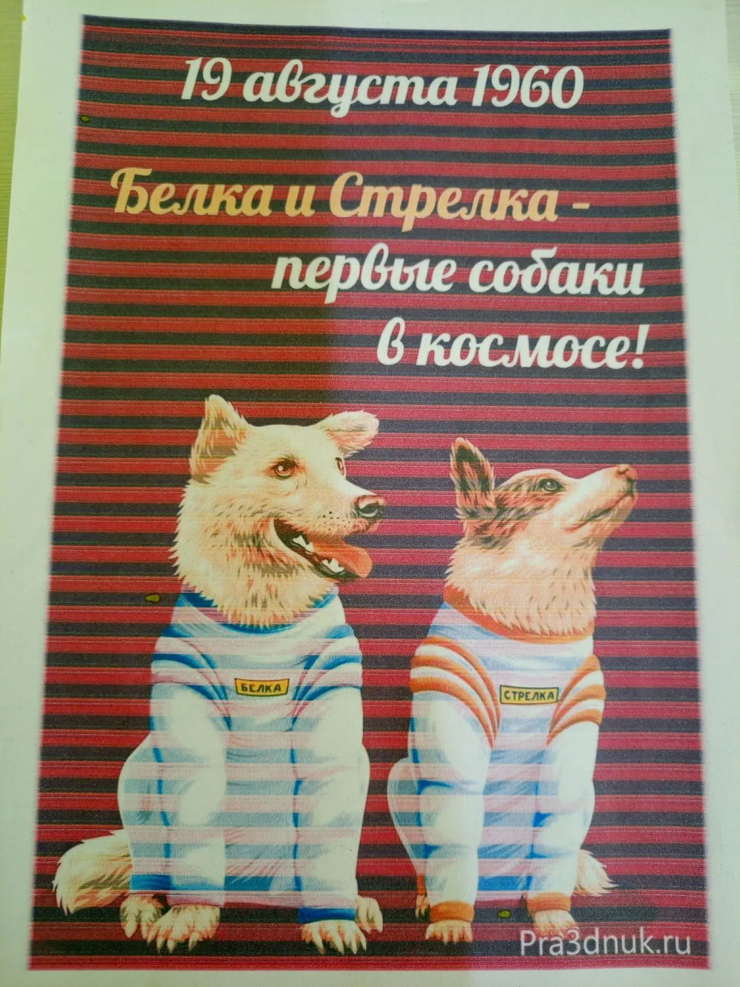 🚀 Сегодня в нашем детском саду прошел  «День Белки и Стрелки»! 🐕✨Наши ребята совершил...