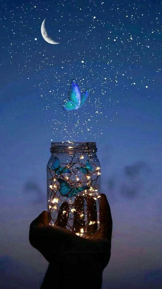 Спокойной ночи 🌙