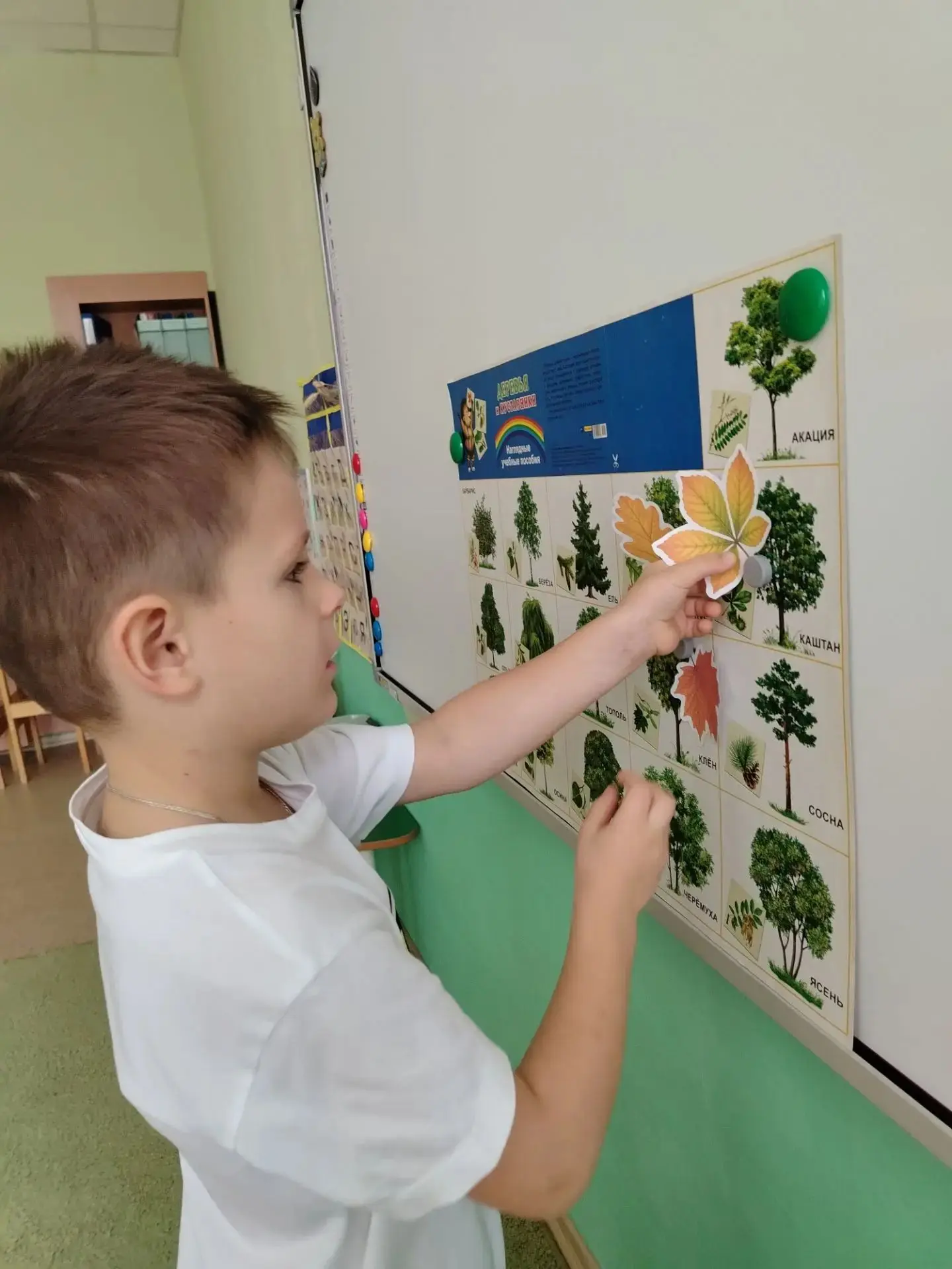 Логопедическое занятие в группе "Непоседы".