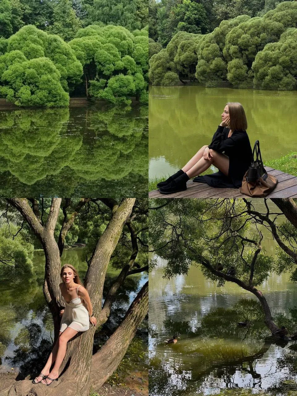 😍 Нарышкинский пруд — тихое место, где легко забыть, что вы в Москве