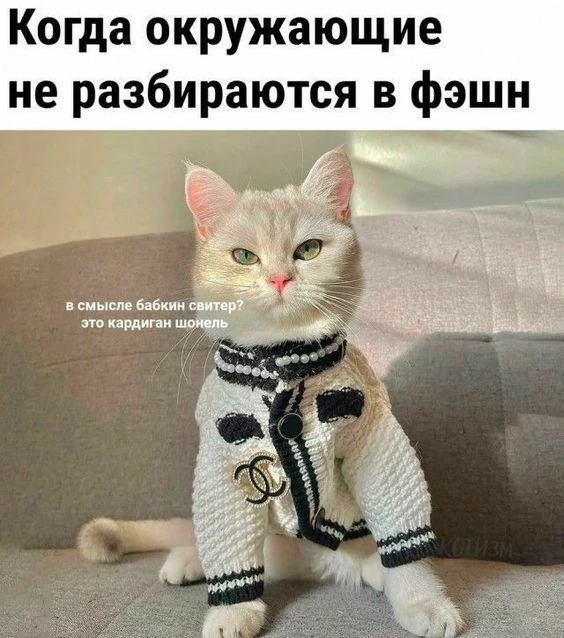 Подпишись, чтобы не потерять👇