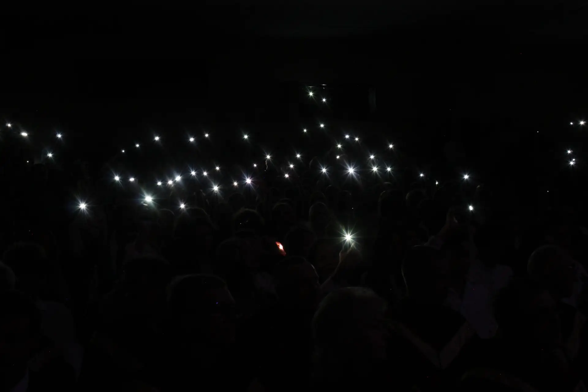 Угадаете, что за огоньки на первом фото? ✨