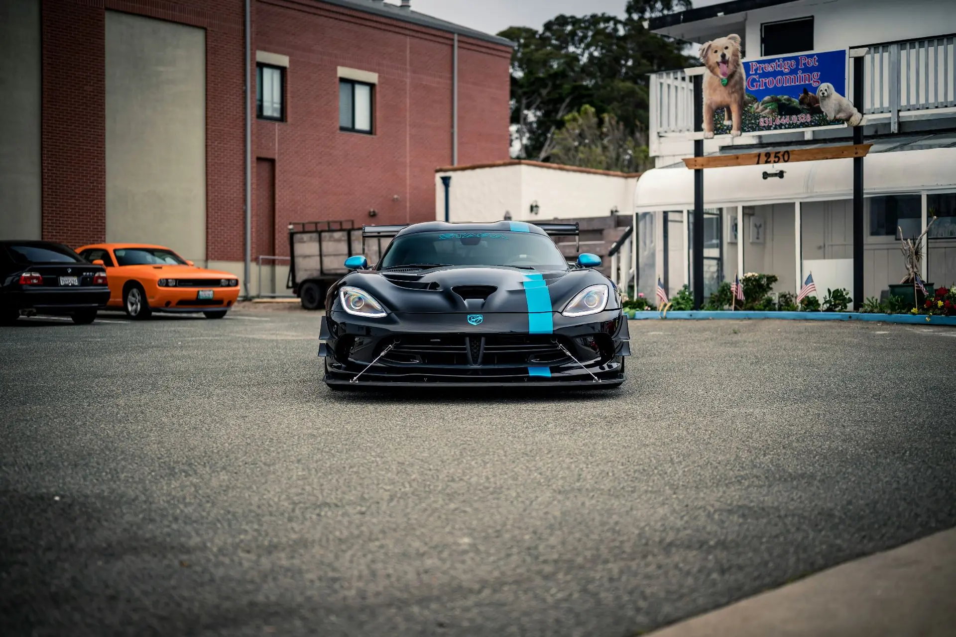 Dodge Viper — чёрный карбон, бирюзовые акценты и бронзовые колёса. В кадре он выглядит ...