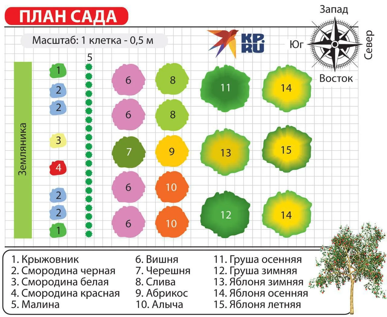 Сад на небольшом участке: план посадок основных культур  Нам всегда хочется всего и побольше, но пот