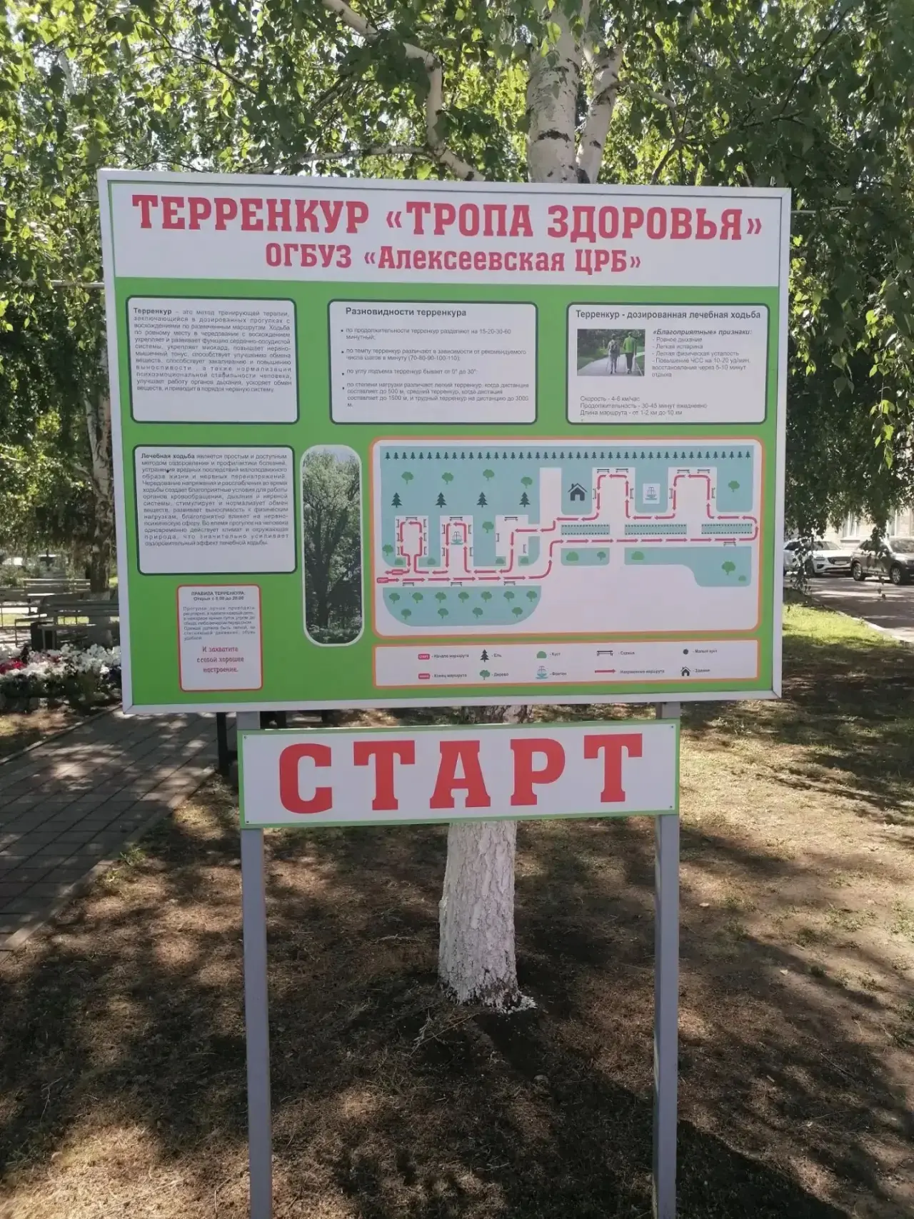 В медицине дружба — это тоже своего рода терапия, это не просто тёплые слова, а ежеднев...