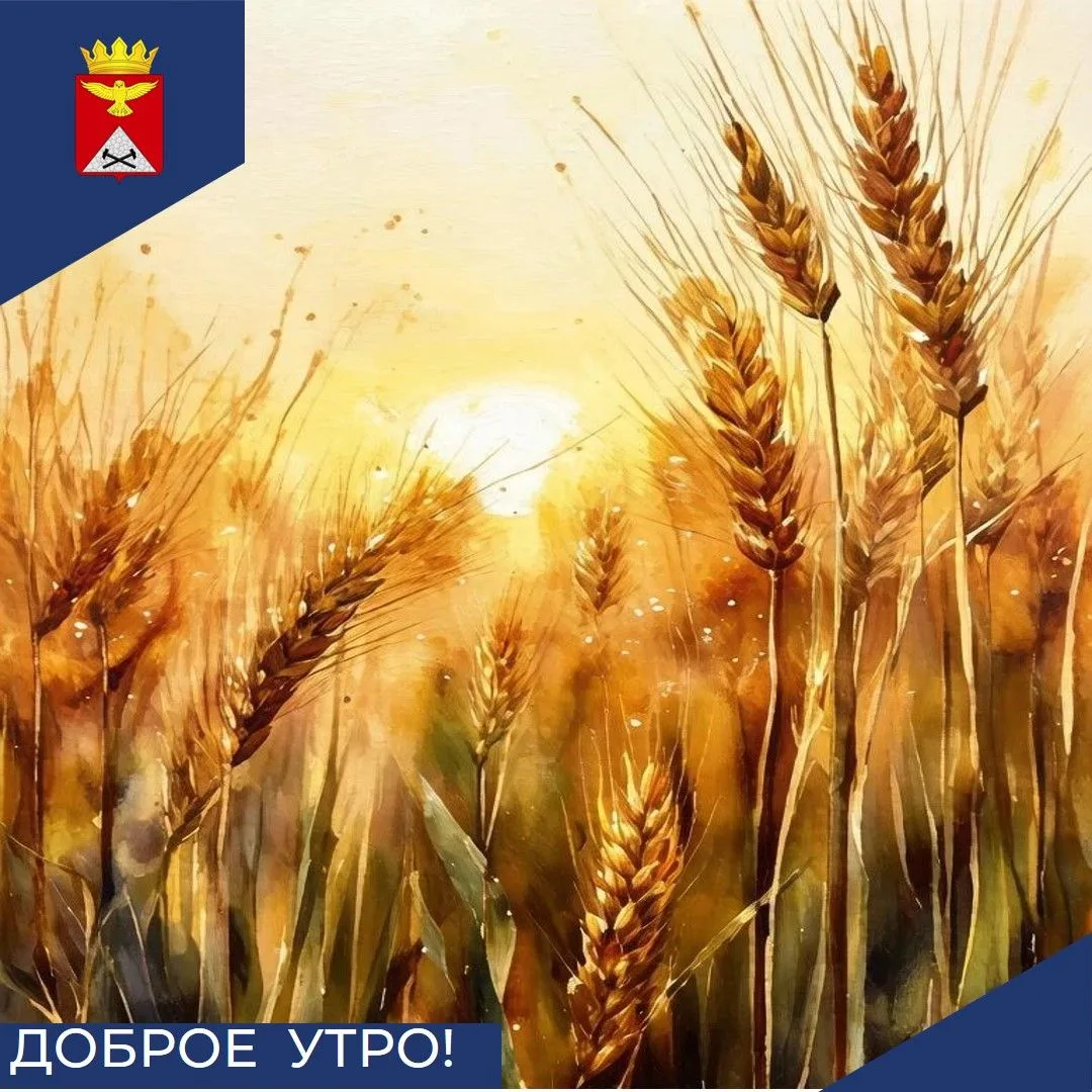 Доброе утро, Юргамышский округ! ☀️Пусть пятница, 28 августа, будет лёгкой и удачной, по...