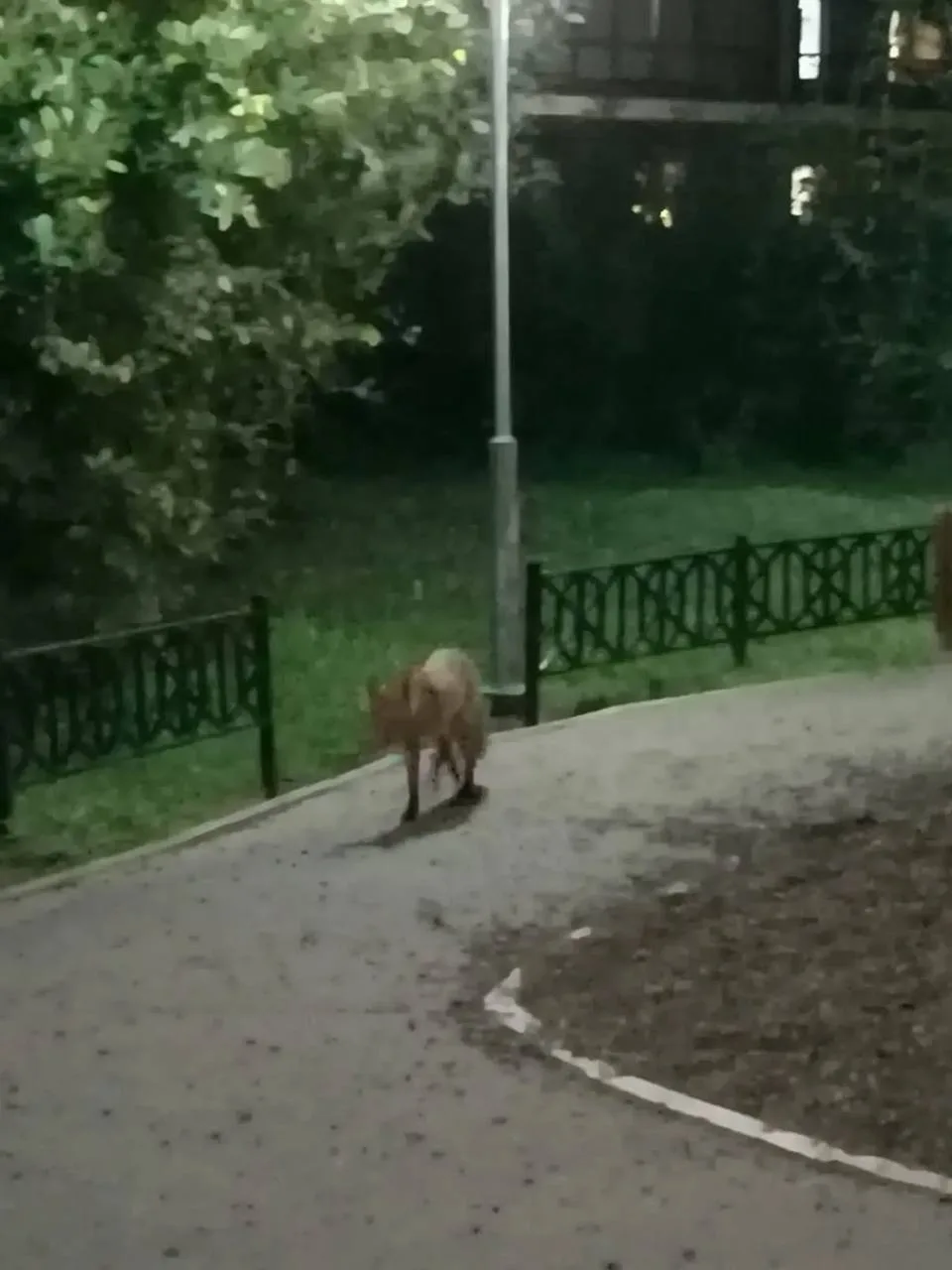 ❗️Жители казанского ЖК «Тулпар» беспокоятся из-за того, что они стали замечать разгулив...