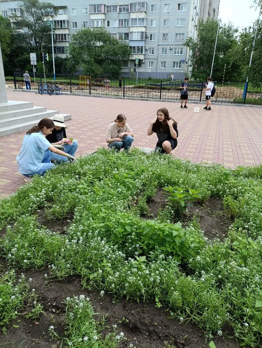 Трудовая кампания — дело полезное и важное! 💪

За это лето наш школьный двор преобразился, и в этом