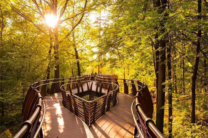 🍂 Места для прогулок по ВДНХ