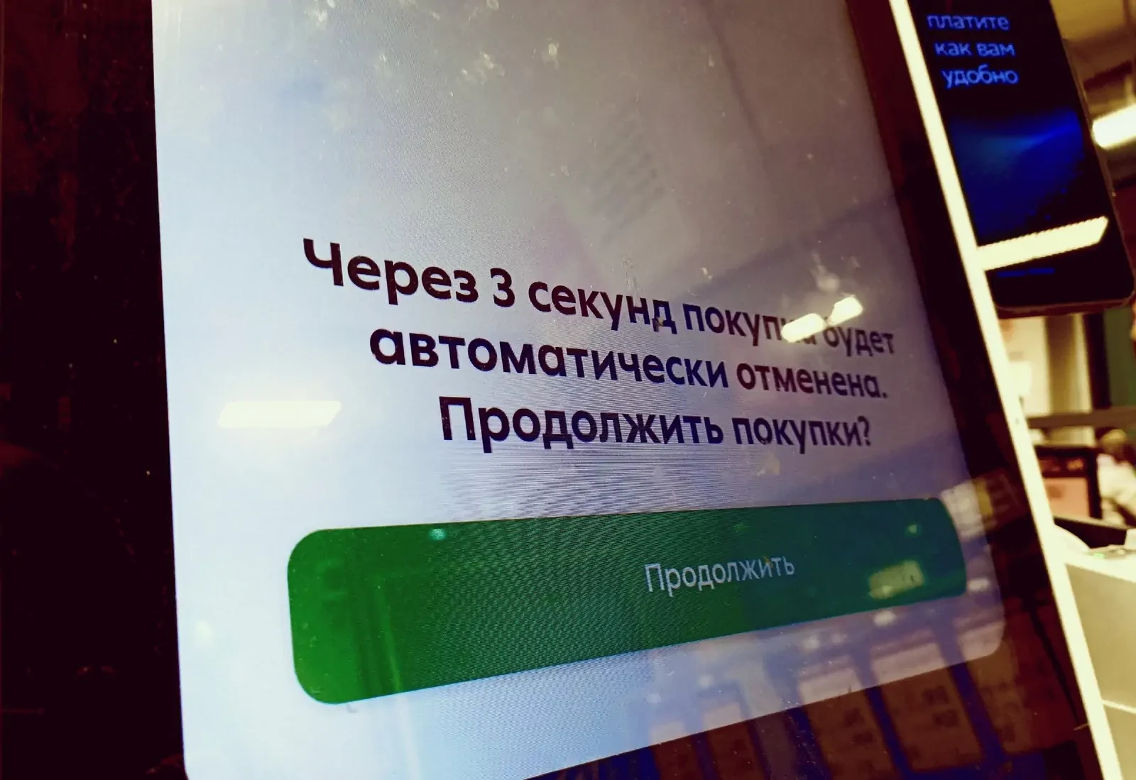 Девушка в Петрозаводске попыталась вынести продукты почти на 3000 рублей