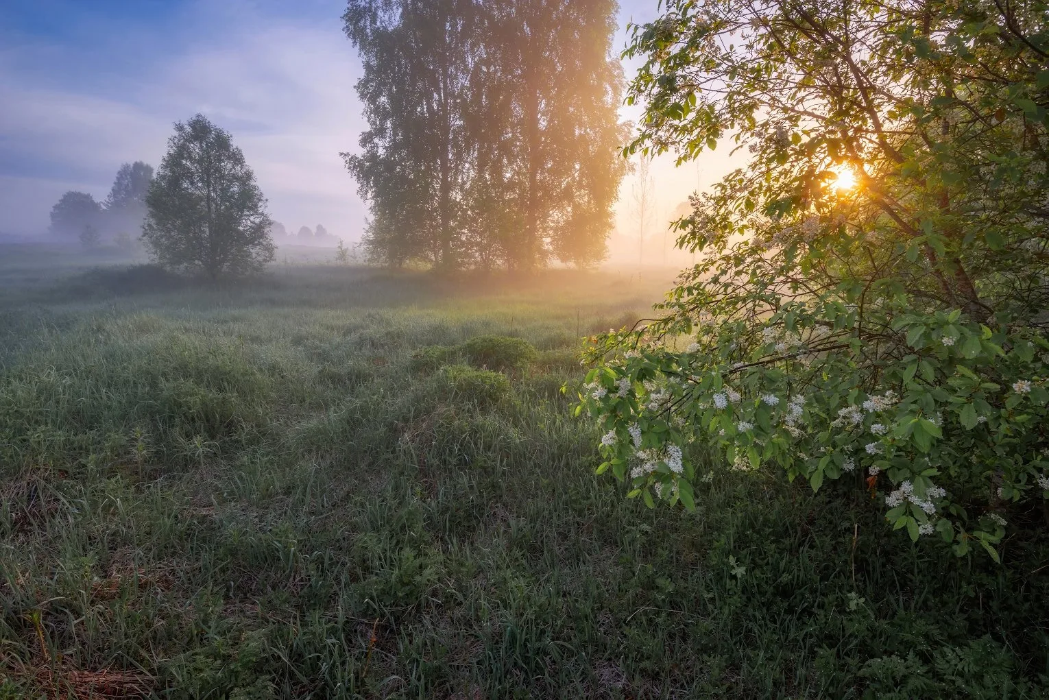Черёмуховый рассвет в Вологодской области 

📷 Автор фото Марина Мурашова

Мы в Контакте

#krasivaru