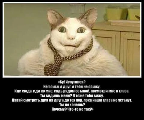 Разогрел? Теперь об итогах работы за июль: