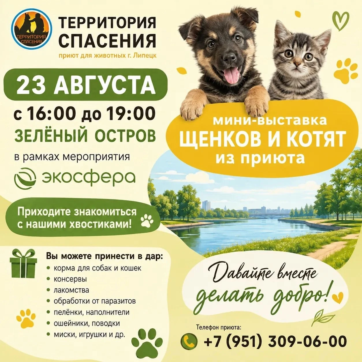 Мини-выставка щенков и котят в добрые руки от приюта для бездомных животных «Территория...