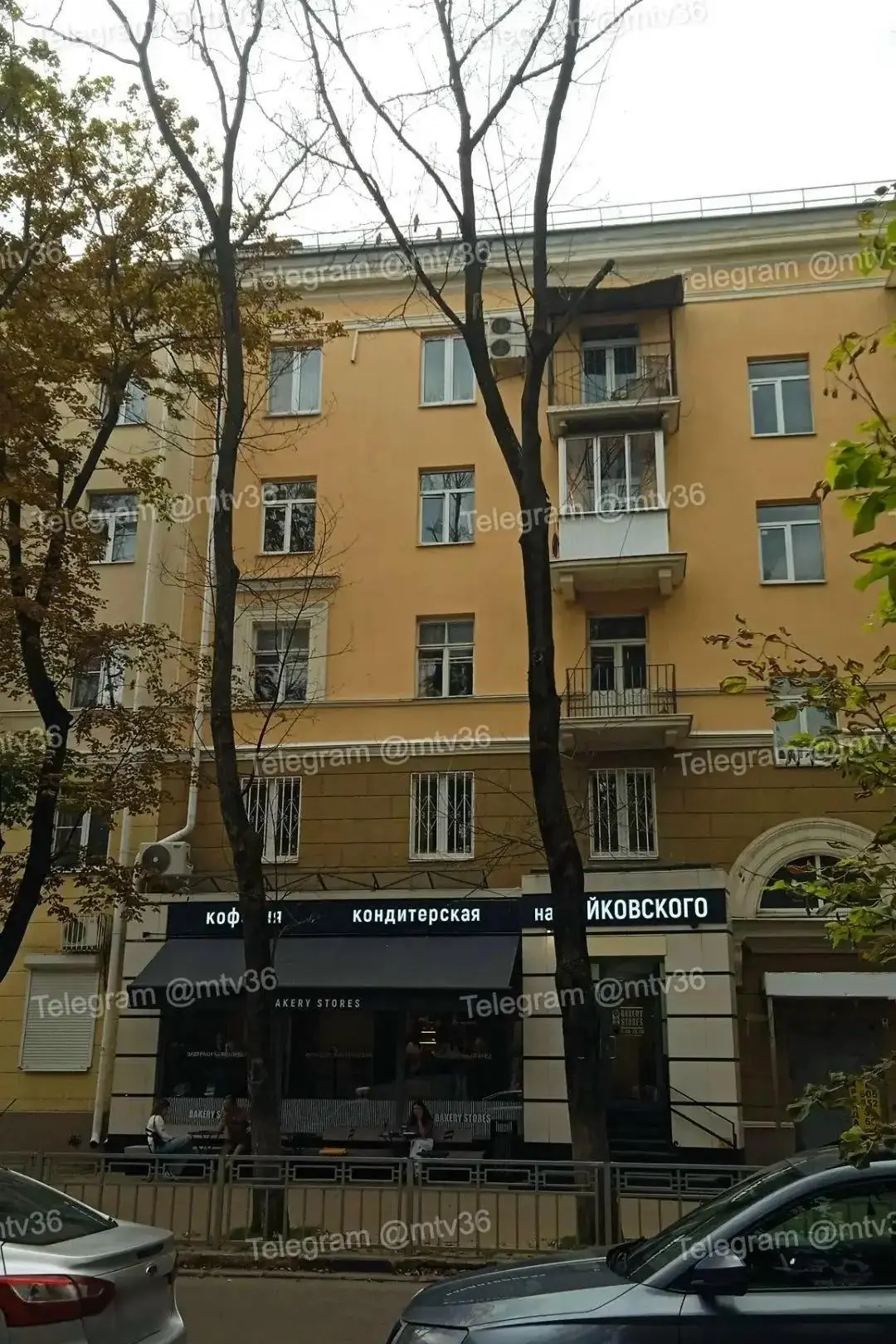 Засохшие великаны в центре Воронежа ждут подходящего момента, чтобы рухнуть на голову пешеходам 
 
П