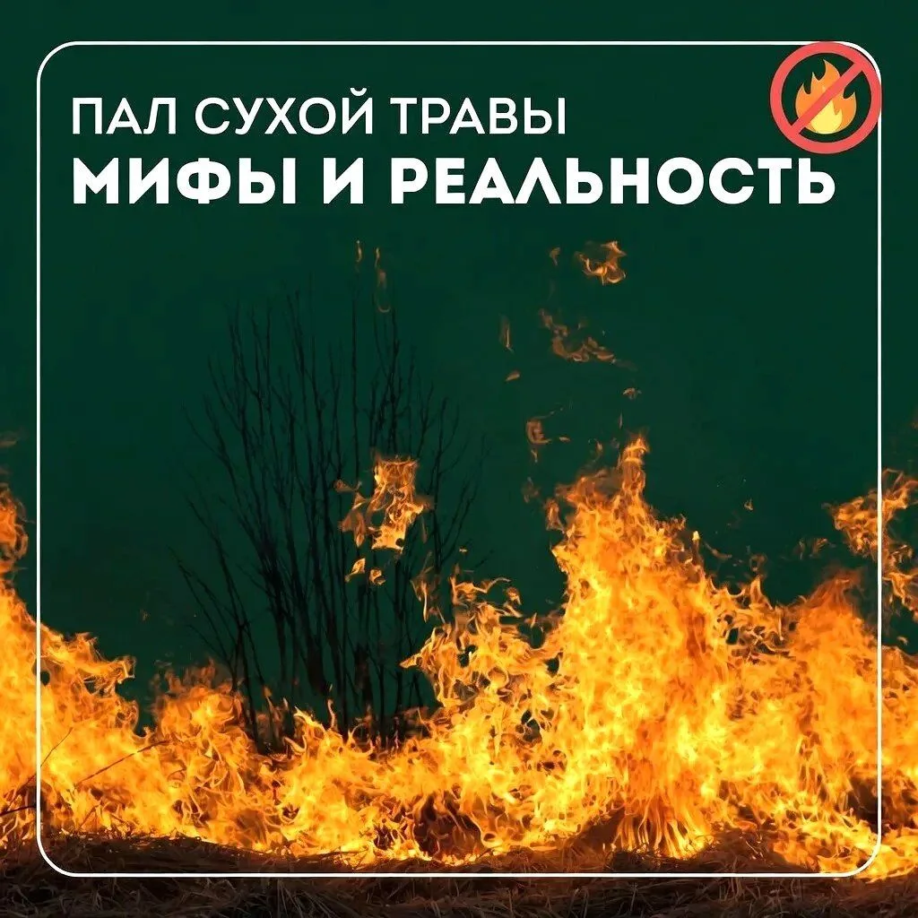 ️❌ Пал сухой травы запрещен – он может стать причиной пожаров