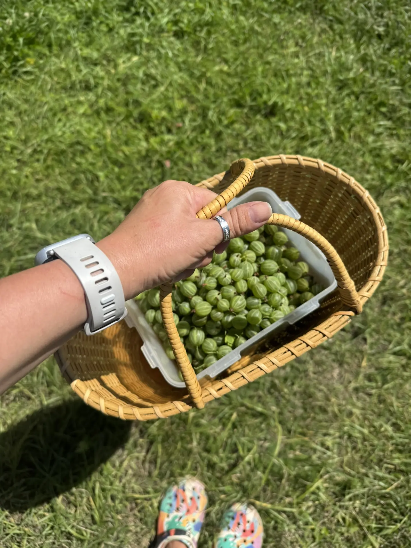 Мой муж любит крыжовник 💚