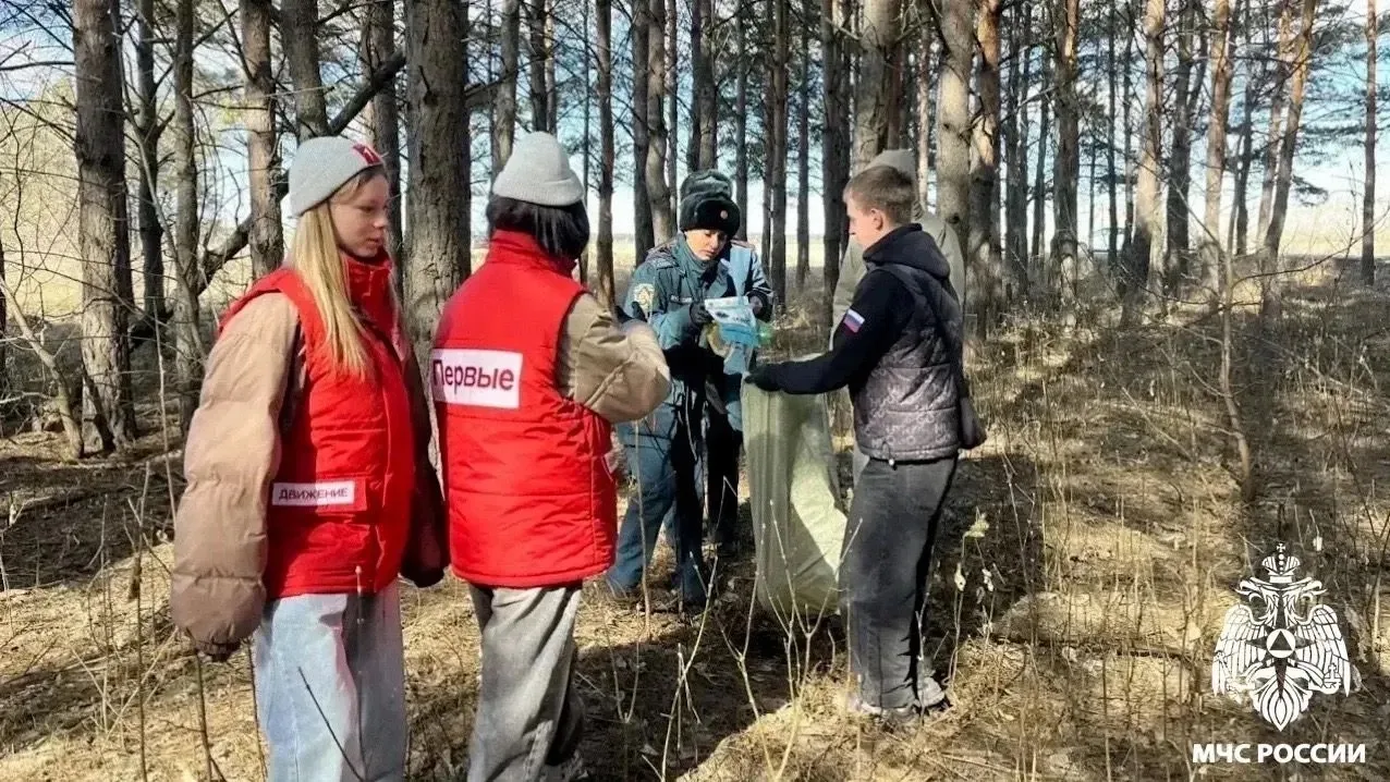 🌲 Лес — наше богатство.  🔥 Береги его от огня!  Эти слова знакомы каждому с детства.  Но, к сожалени