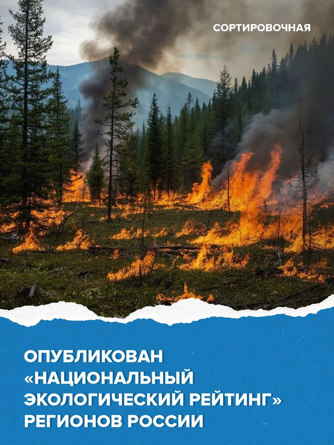 ✅ Опубликован «Национальный экологический рейтинг» регионов РФ по итогам весны и лета 2...