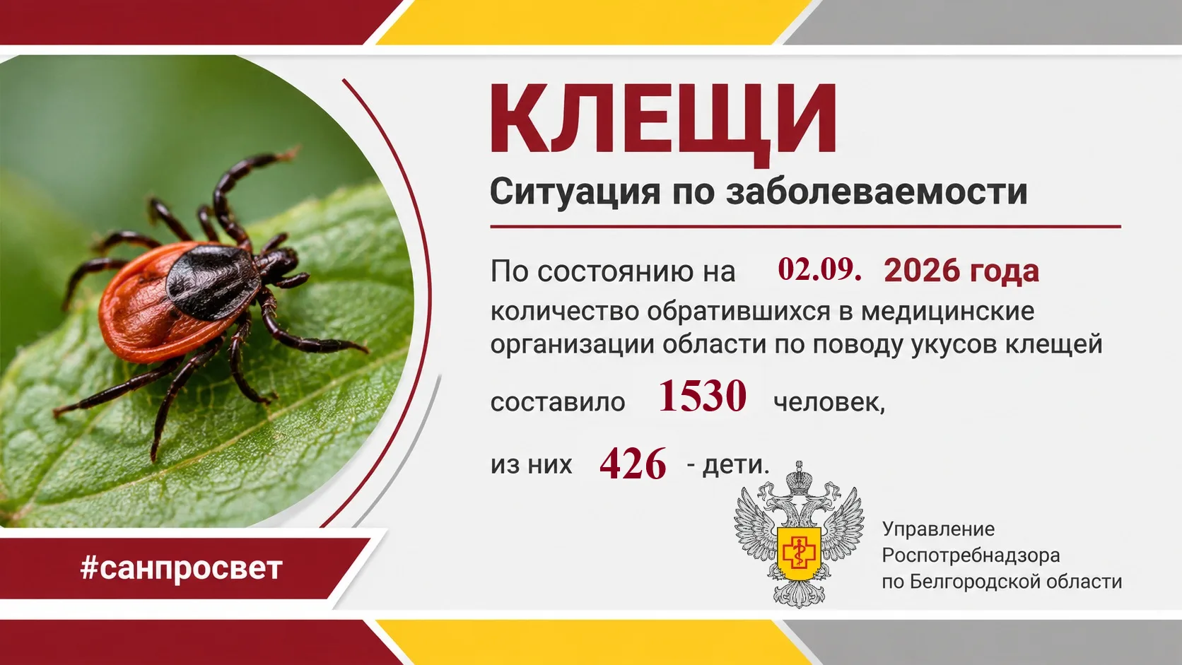 ⚠ Осторожно, клещи!