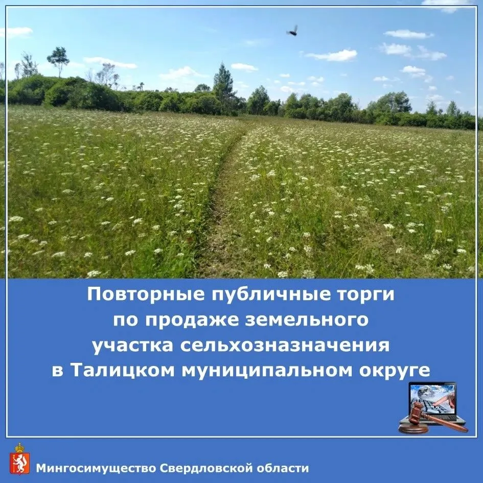 🚜 Продаётся земельный участок в Талицком округе!
