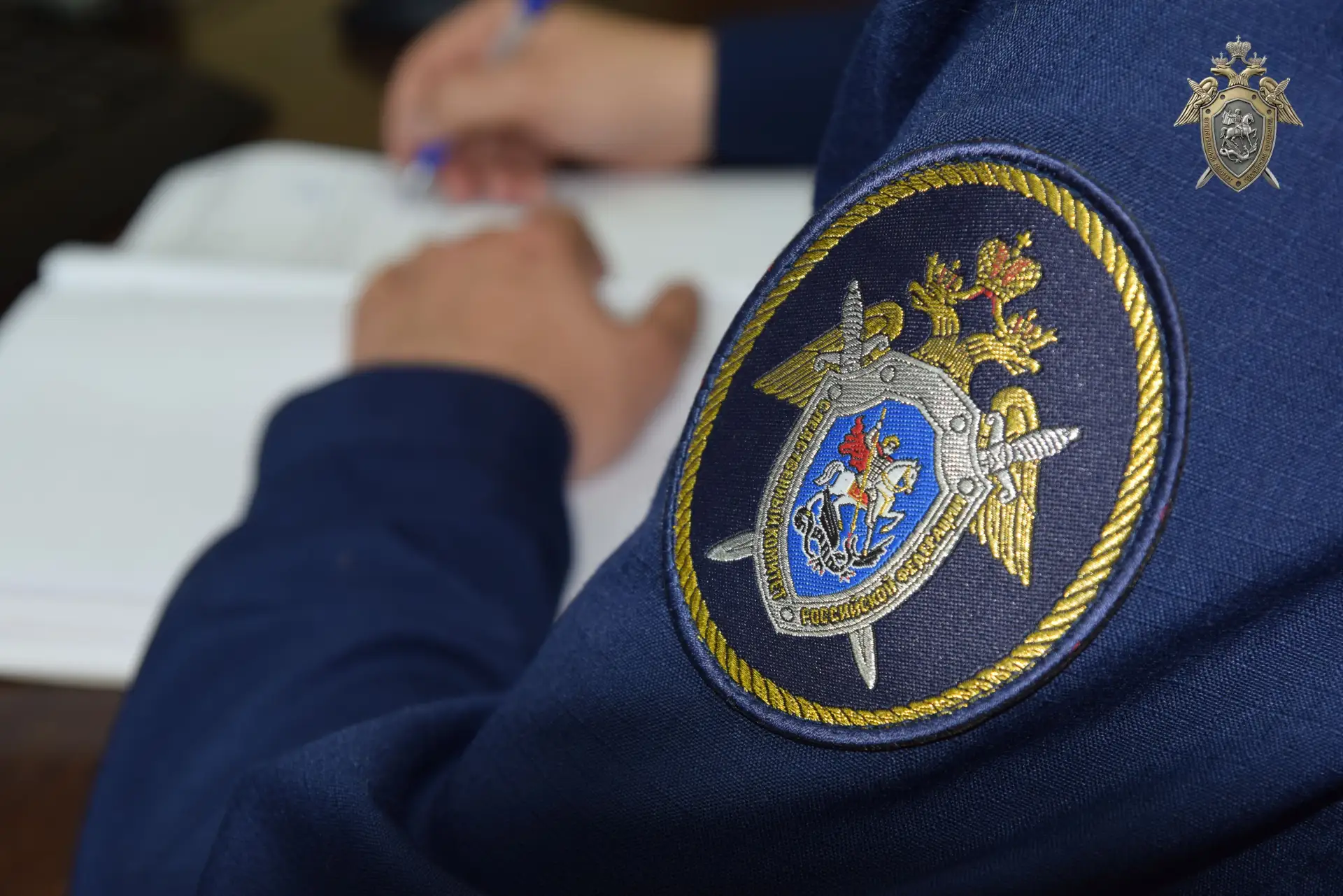 Житель Благовещенска предстанет перед судом за убийство 

Следственным отделом по городу Благовещенс