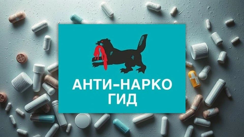 Чат-бот «Анти-Нарко Гид Иркутской области»
Для жителей Иркутской области в национальном мессенджере 