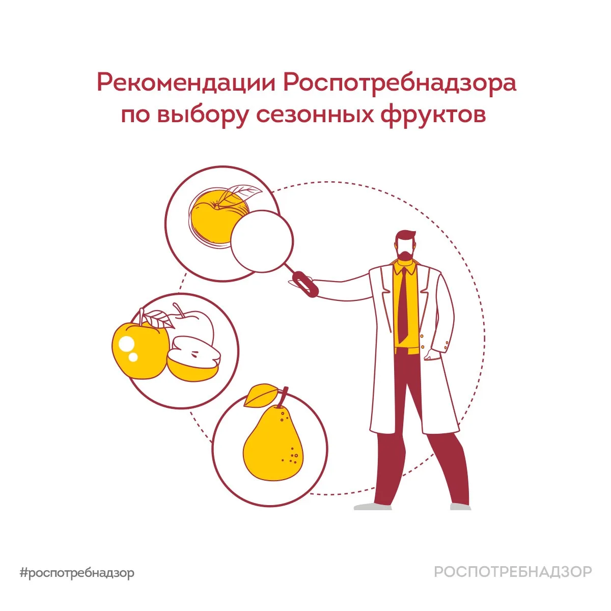 ☀️ Лето — это время свежих овощей, фруктов и ягод! Употребление сезонной продукции важн...