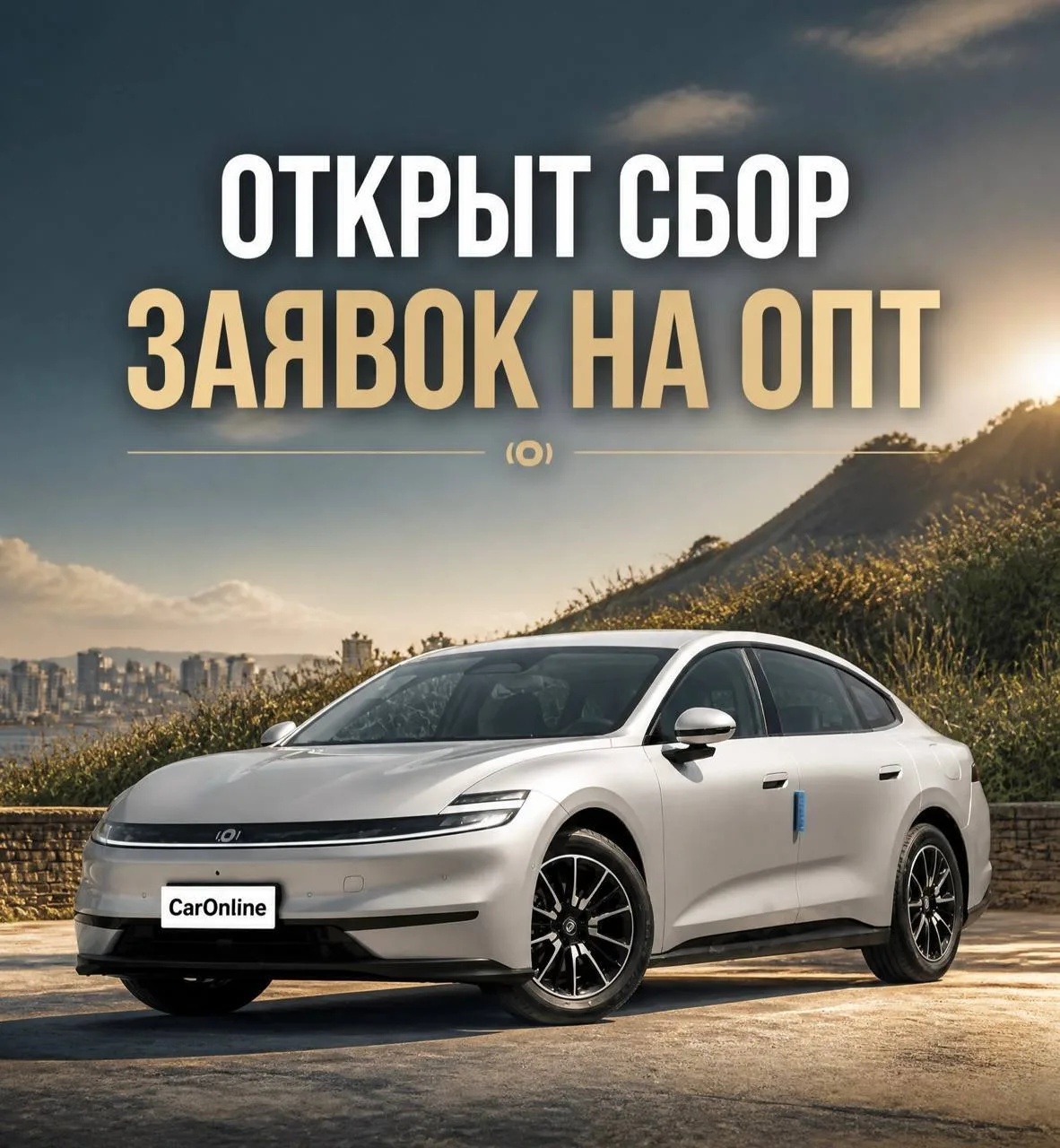 Друзья, напоминаем, что у нас открыт сбор заявок на оптовую партию с ускоренным произво...