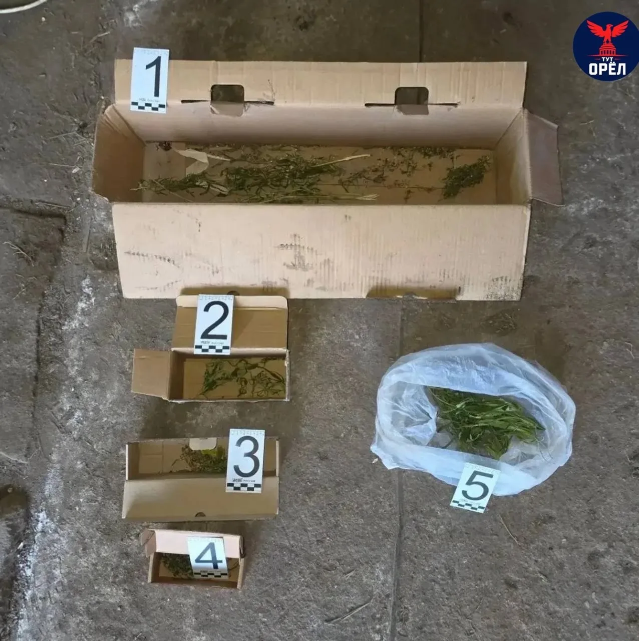 🌿 В Ливенском районе у мужчины нашли 26,6 грамма конопли.