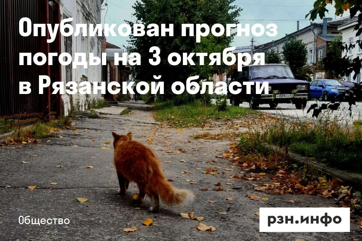 Опубликован прогноз погоды на 3 октября в Рязанской области