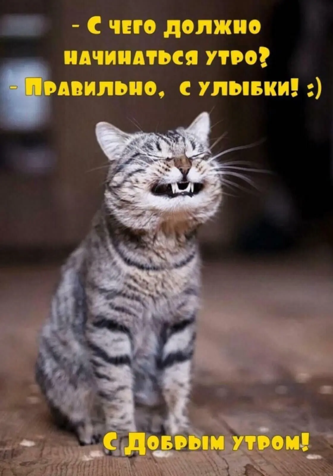 Бодрого и доброго утра вам желает канал Волгоград⚡️