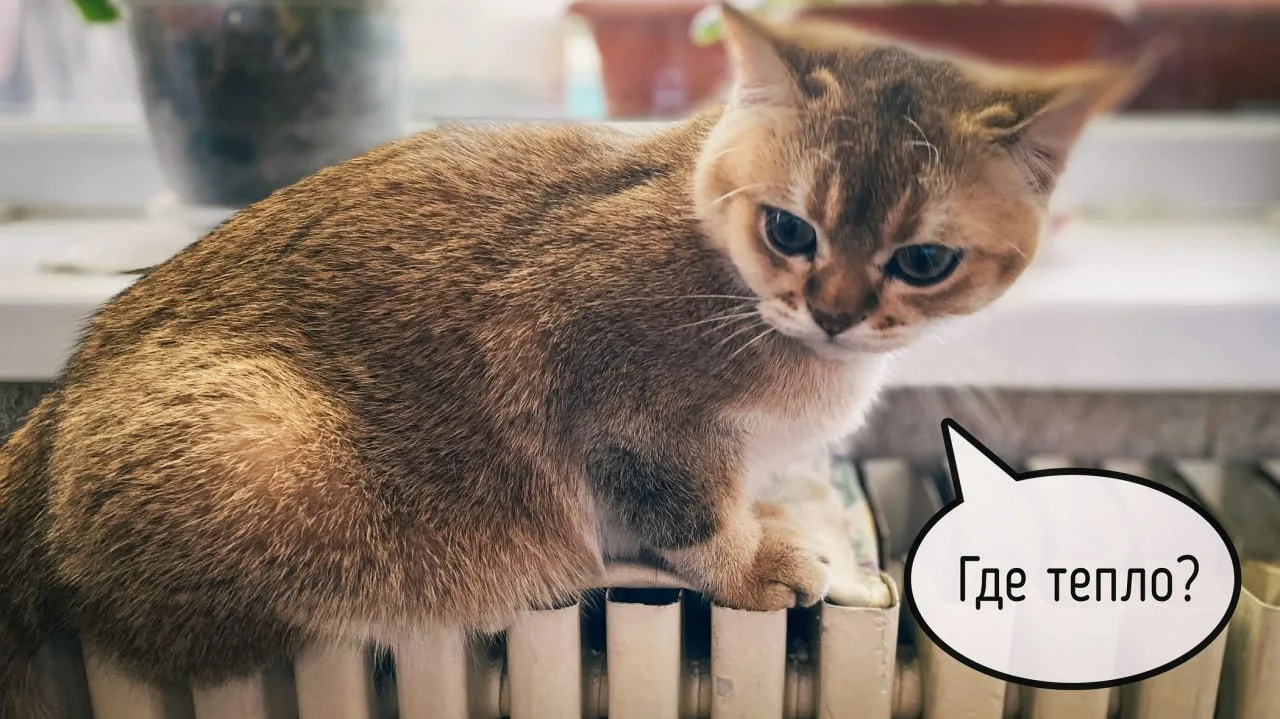 Что делать, если батареи не греют?