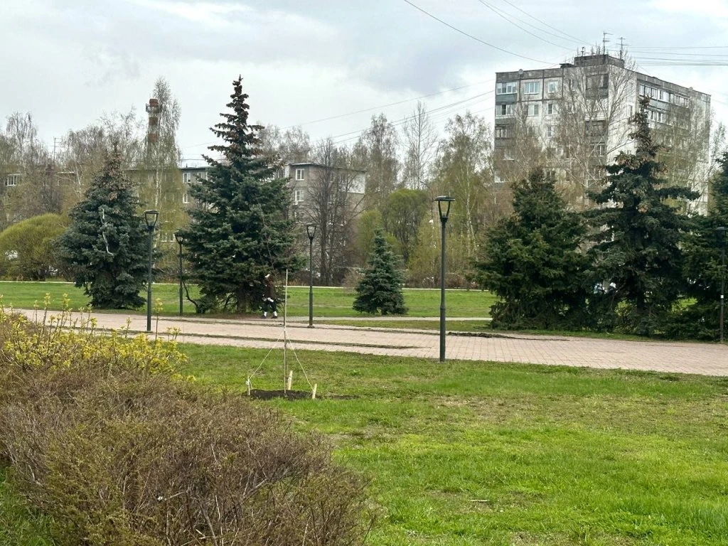 Две школы и поликлинику на 50 мест хотят построить по КРТ на Заречном бульваре