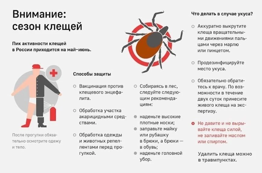 Осторожно клещи!
